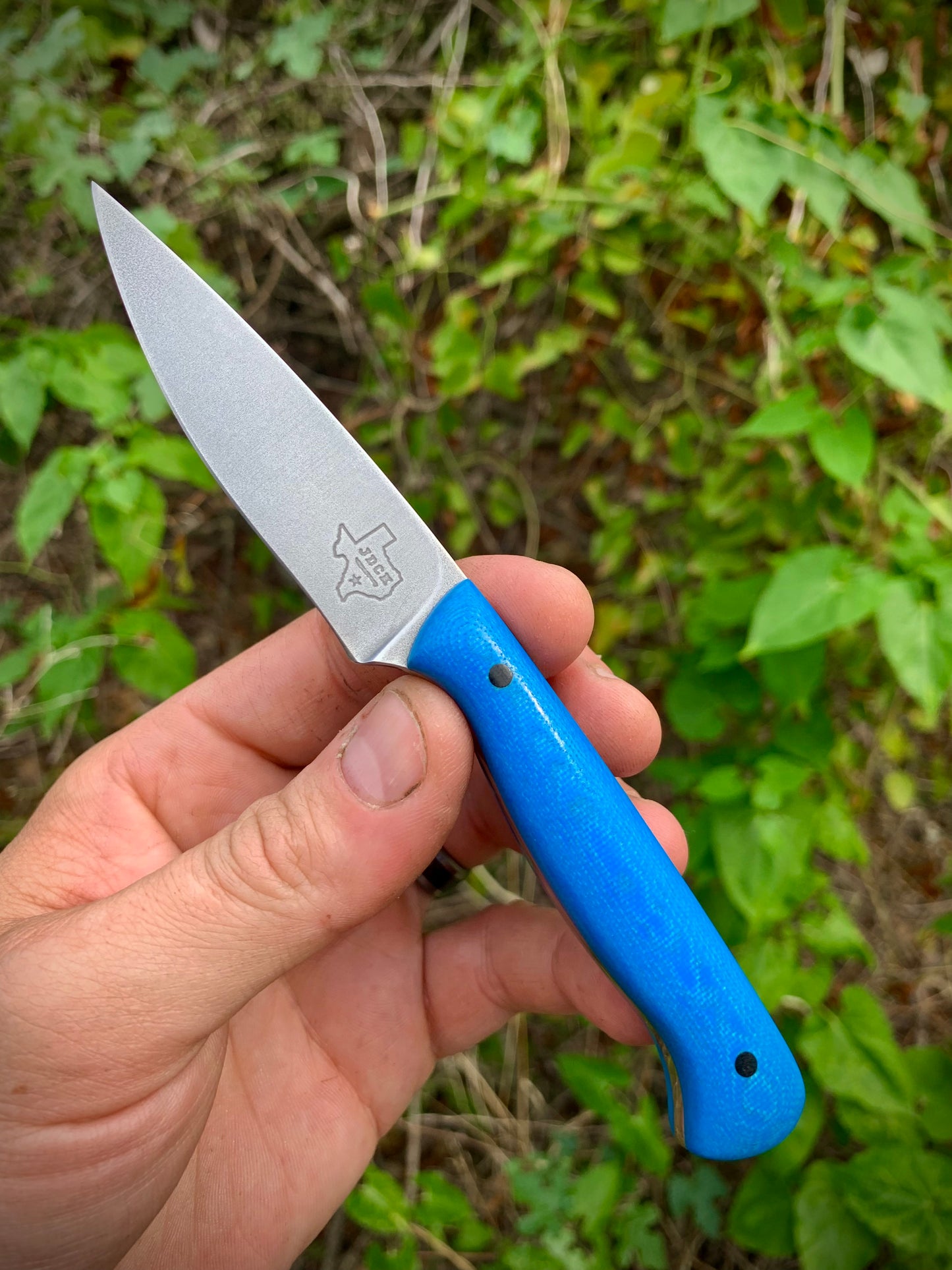 Gecko EDC - Blue G10/Kydex