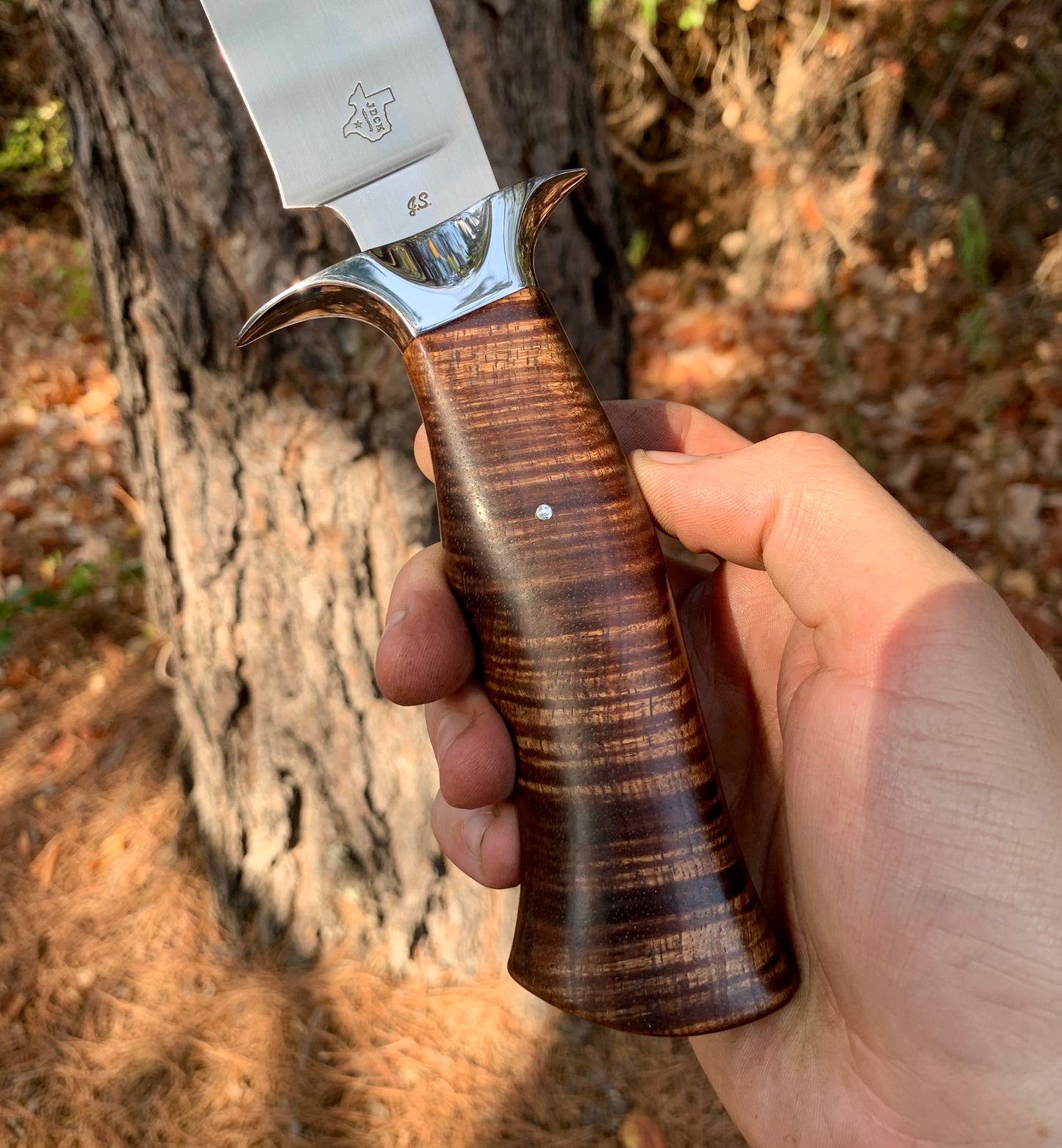 Tasmanian Blackwood Fighter (First J.S. Piece)