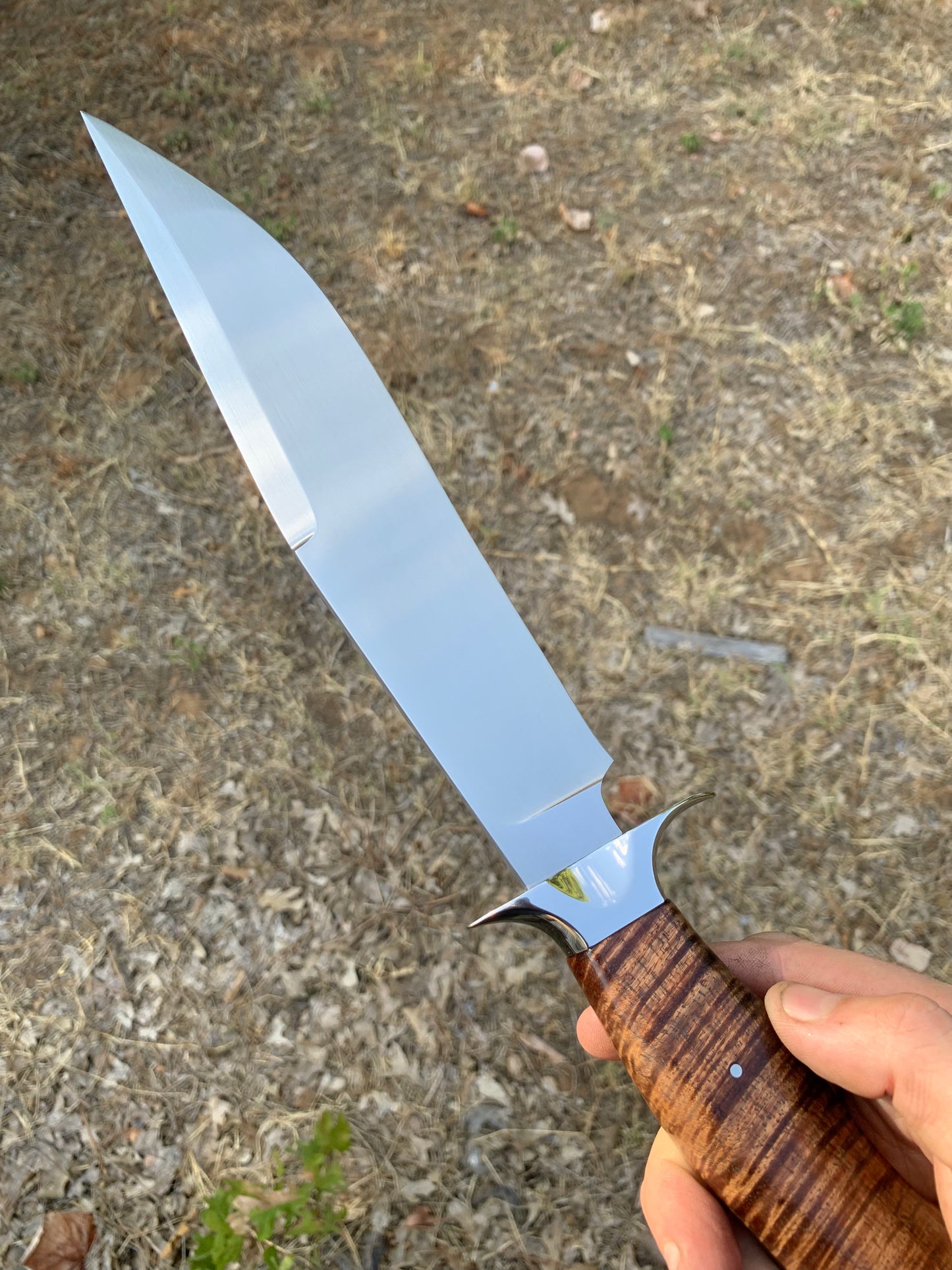 Tasmanian Blackwood Fighter (First J.S. Piece)