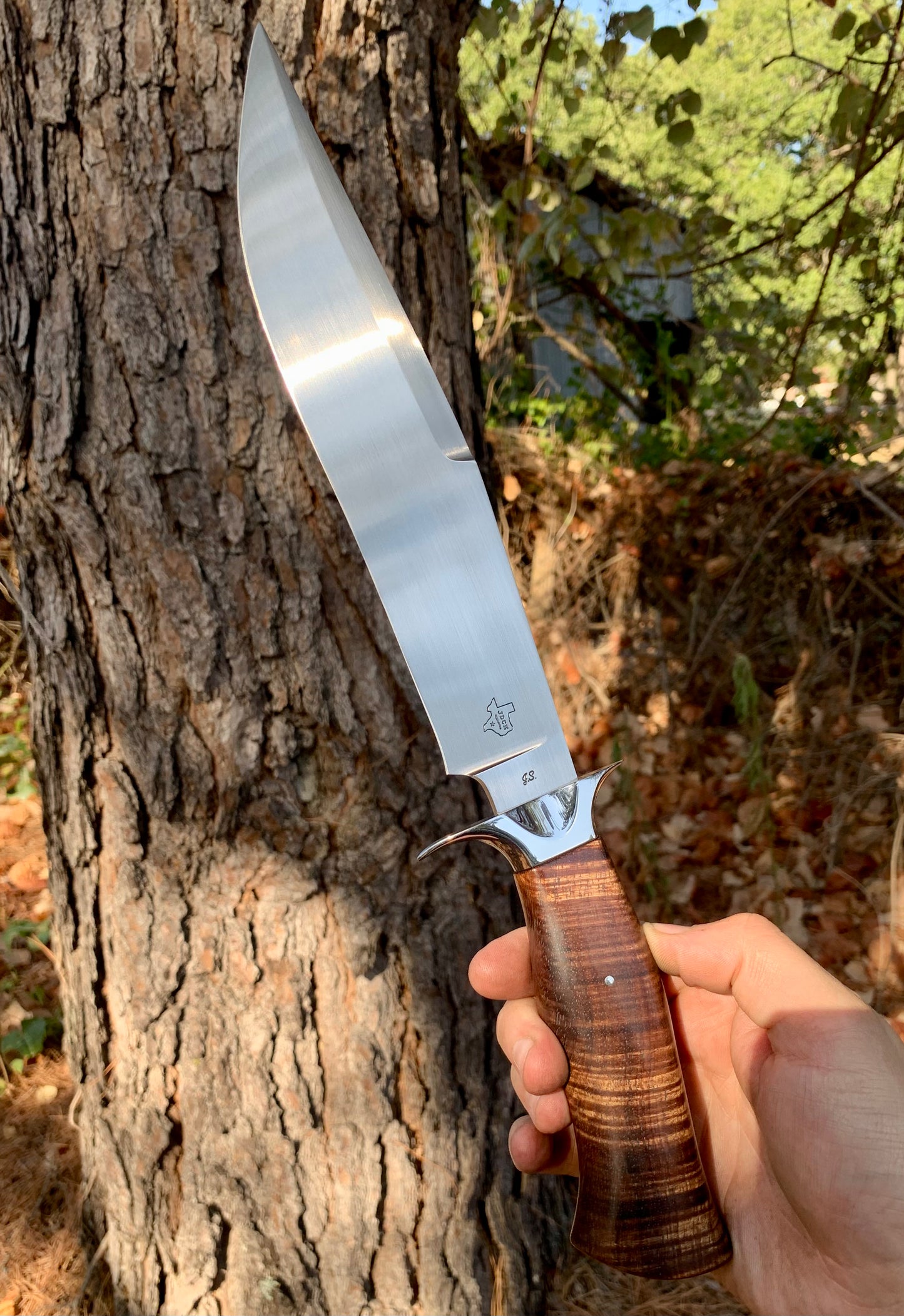 Tasmanian Blackwood Fighter (First J.S. Piece)